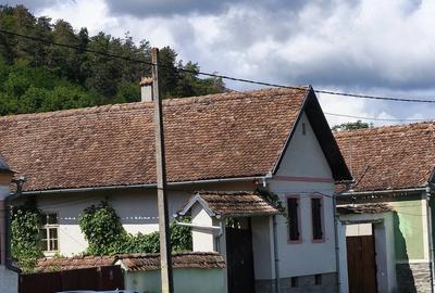 Casă cu Teren 5000 Mp în Apold