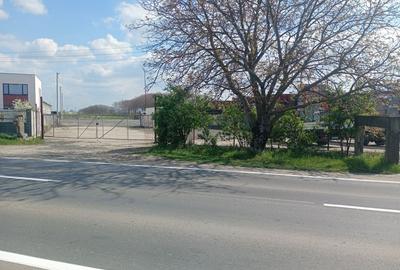 Spațiu comercial, în Freidorf - 4