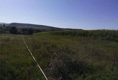 Teren de 3050 mp, în Peștișu Mare