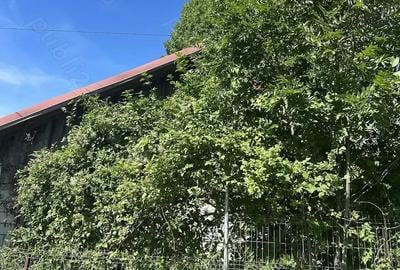 Casă cu 5 camere cu Teren 1939 Mp în Talea