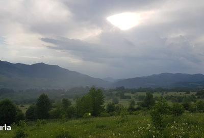 Teren de 13000 mp, în Asău - 3