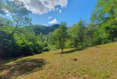 Teren de 2096 mp, în Vârfuri - 6