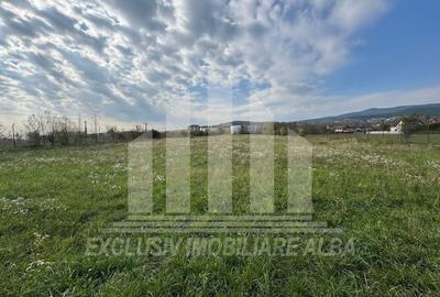 Teren Construcții intravilan de 5841 mp, în Cetate - 4