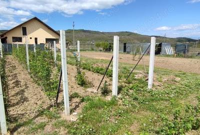Casă cu 4 camere cu Teren 2000 Mp în Predești - 4