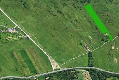 Teren de 8000 mp, în Avrig - 1
