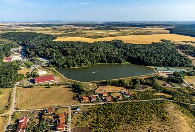 Teren agricol extravilan de 125077 mp, în Herneacova - 7