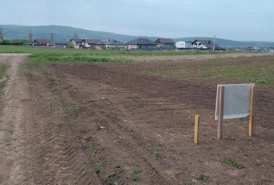 Teren de 5000 mp, în Dancu - 5