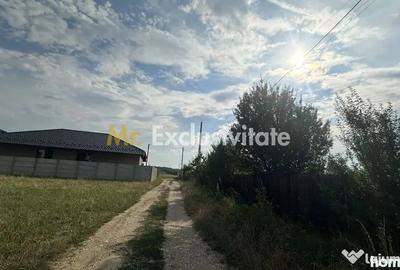 Teren în Albota