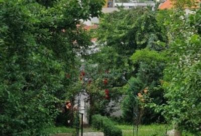 Casă individuală cu 7 camere cu Canalizare în Central - 5