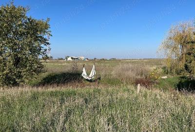 Teren de 22000 mp, în Livada - 3