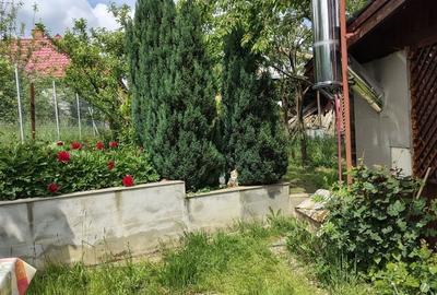 Casă cu 5 camere cu Teren 425 Mp în Sadu - 9