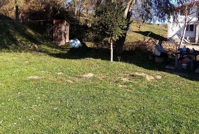Casă cu Teren 2434 Mp în Pucheni