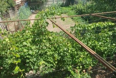Casă individuală cu 3 camere cu Teren 433 Mp în Central - 3