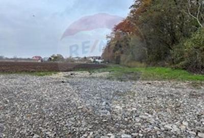 Teren Construcții intravilan de 1100 mp, în Vlădiceasca - 1