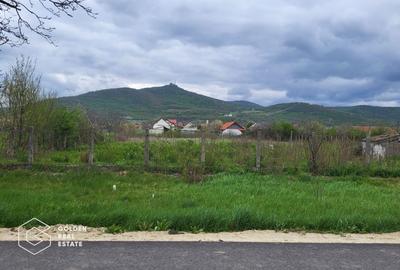Teren Construcții intravilan de 2880 mp, în Șiria - 3