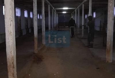 Casă cu 3 camere cu Teren 24281 Mp în Ciortea - 6
