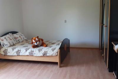 Casă cu 4 camere în Oancea - 3