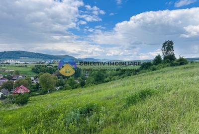 Teren agricol intravilan de 3000 mp, în Ciritei - 7
