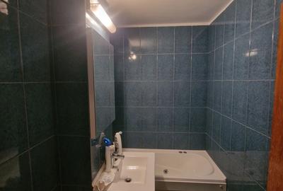 Apartament cu 2 camere semidecomandat în Brazda lui Novac