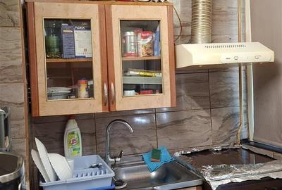 Apartament cu 2 camere semidecomandat în Gară - 8