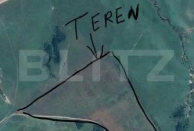 Teren de 243504 mp, în Ardud - 3