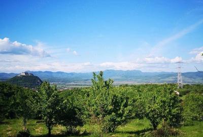 Teren de 1330 mp, în Central