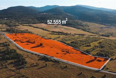 Teren intravilan de 52555 mp, în Suseni - 1