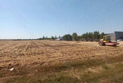 Teren de 4900 mp, în Moara Vlăsiei - 7