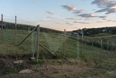 Teren Construcții extravilan de 700 mp, în Iris - 2