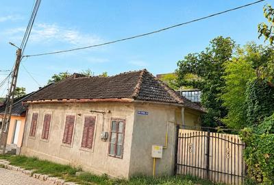 Casă cu 4 camere cu Teren 400 Mp în Exterior Vest