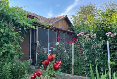 Casă cu 2 camere în Grindu - 3