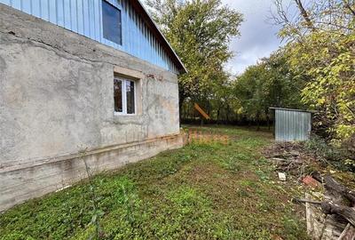 Casă cu 2 camere cu Teren 4000 Mp în Dernișoara - 10