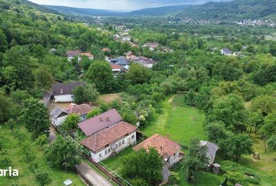 Casă cu 5 camere cu Teren 3600 Mp în Vulturești - 4
