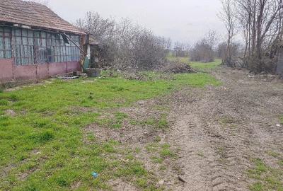 Teren de 3000 mp, în Fierbinți-Târg