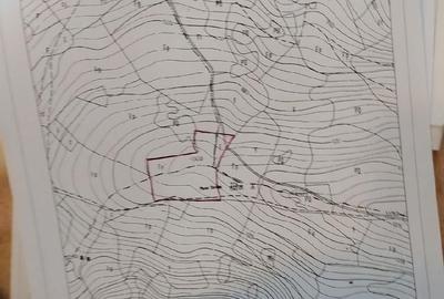 Teren de 25000 mp, în Plai - 3