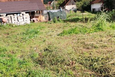 Casă cu 5 camere cu Teren 6800 Mp în Hărțăgani - 1