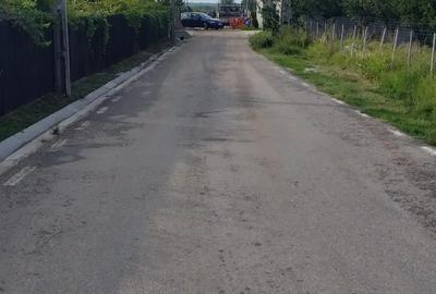 Teren de 5000 mp, în Albota - 1