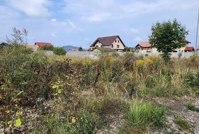 Teren de 800 mp, în Hărman