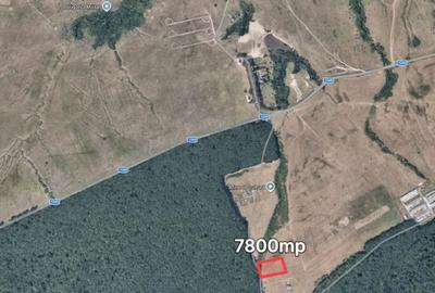 Teren de 7800 mp, în Poplaca