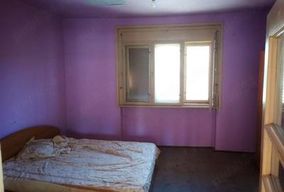 Casă cu Teren 11300 Mp în Dumbrăvița - 6
