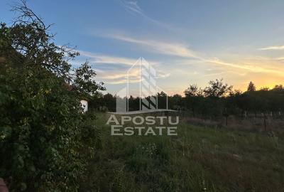 Teren Construcții intravilan de 648 mp, în Braytim