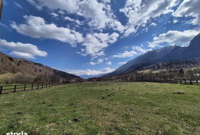 Teren de 2500 mp, în Plaiul Foii - 11