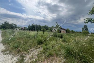 Teren Construcții extravilan de 20200 mp, în Daia - 3