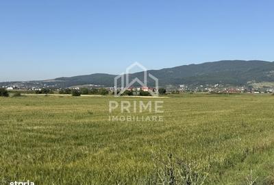 Spațiu comercial, în Bărăbanț - 3