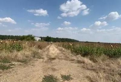 Teren în Vlădiceasca - 8