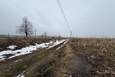 Teren agricol extravilan de 7276 mp, în Gălănești - 1