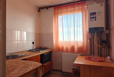 Apartament cu 2 camere decomandat, mobilat în Podgoria - 4