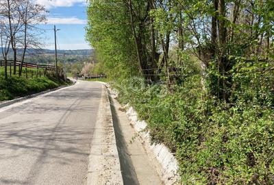 Teren Construcții intravilan de 4905 mp, în Albeștii de Muscel - 6
