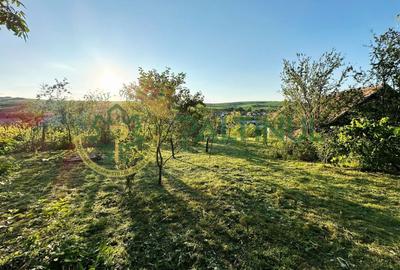 Casă individuală cu 3 camere cu Canalizare în Armeni - 9