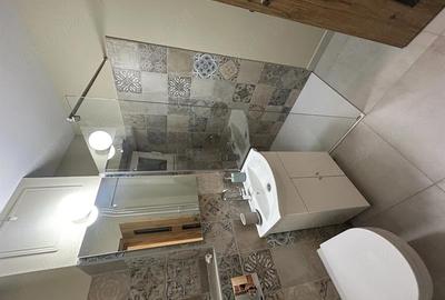 Apartament cu 3 camere decomandat, mobilat în Lăpuș Argeș - 13